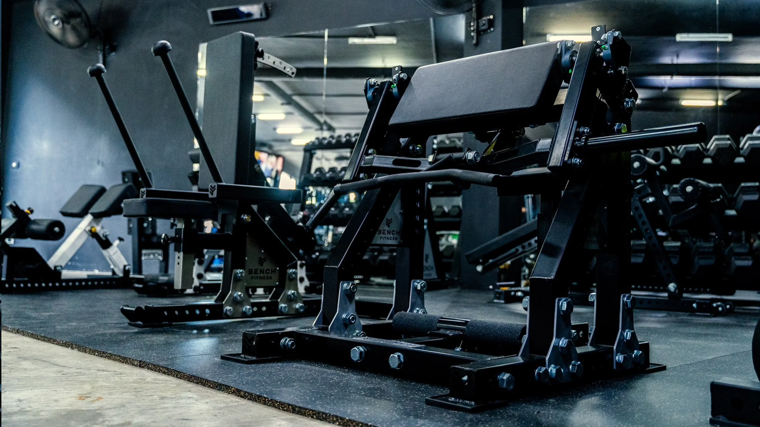 health & fitness